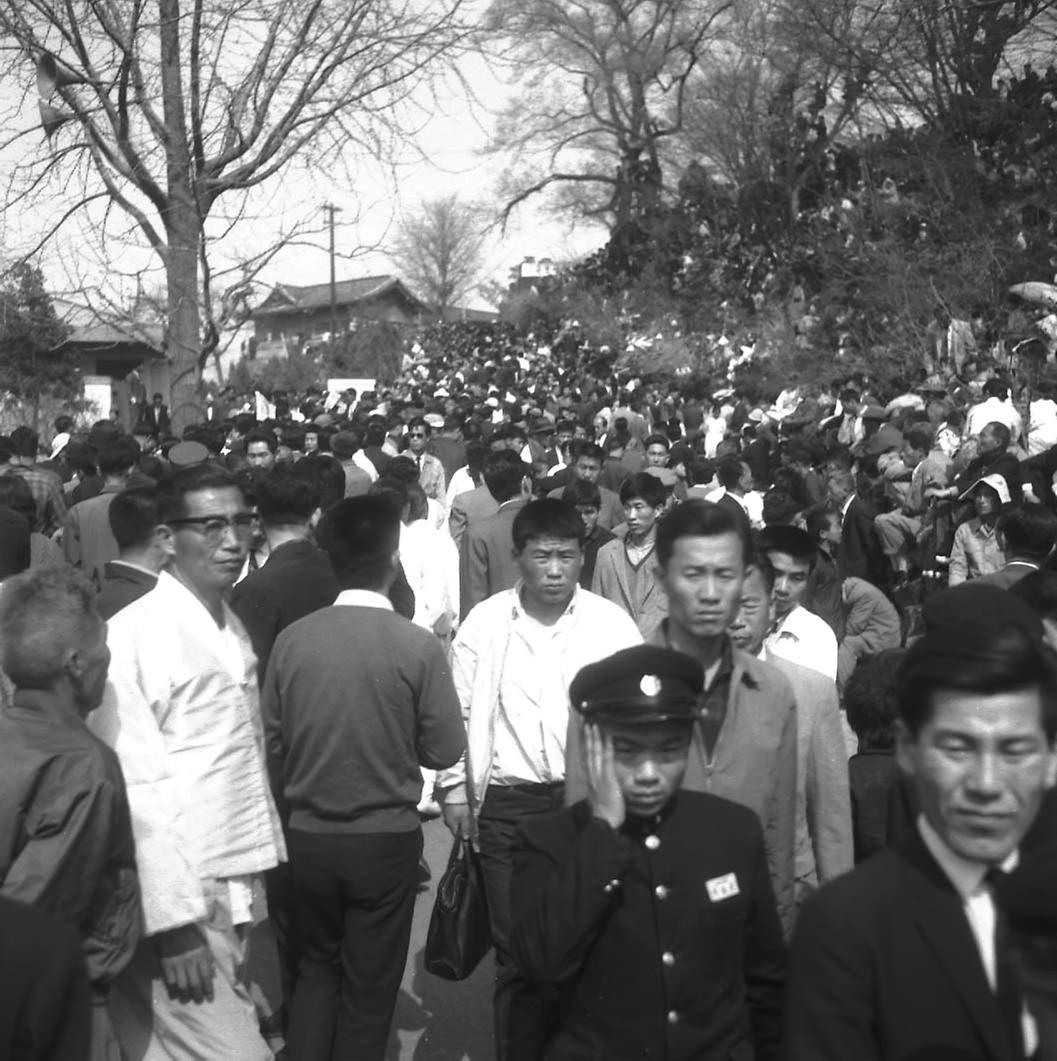 신민당 남산 야외음악당 선거유세