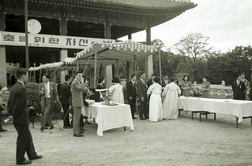 양지회, 재해민 구호를 위한 자선파티