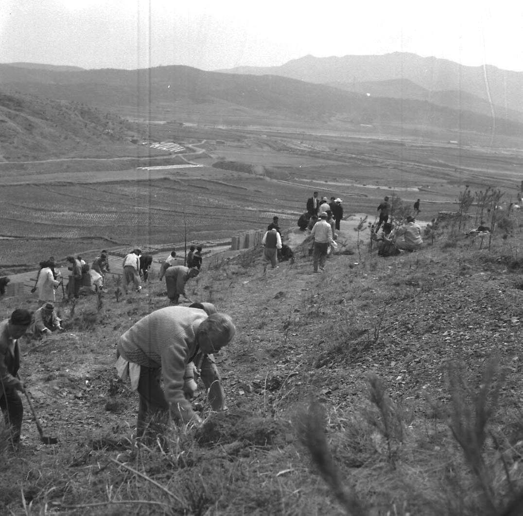 노인연합회 3.1공원 식수