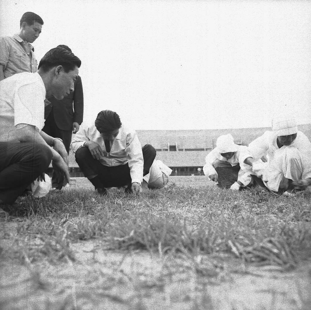 김현옥 서울시장, 공사현장 시찰