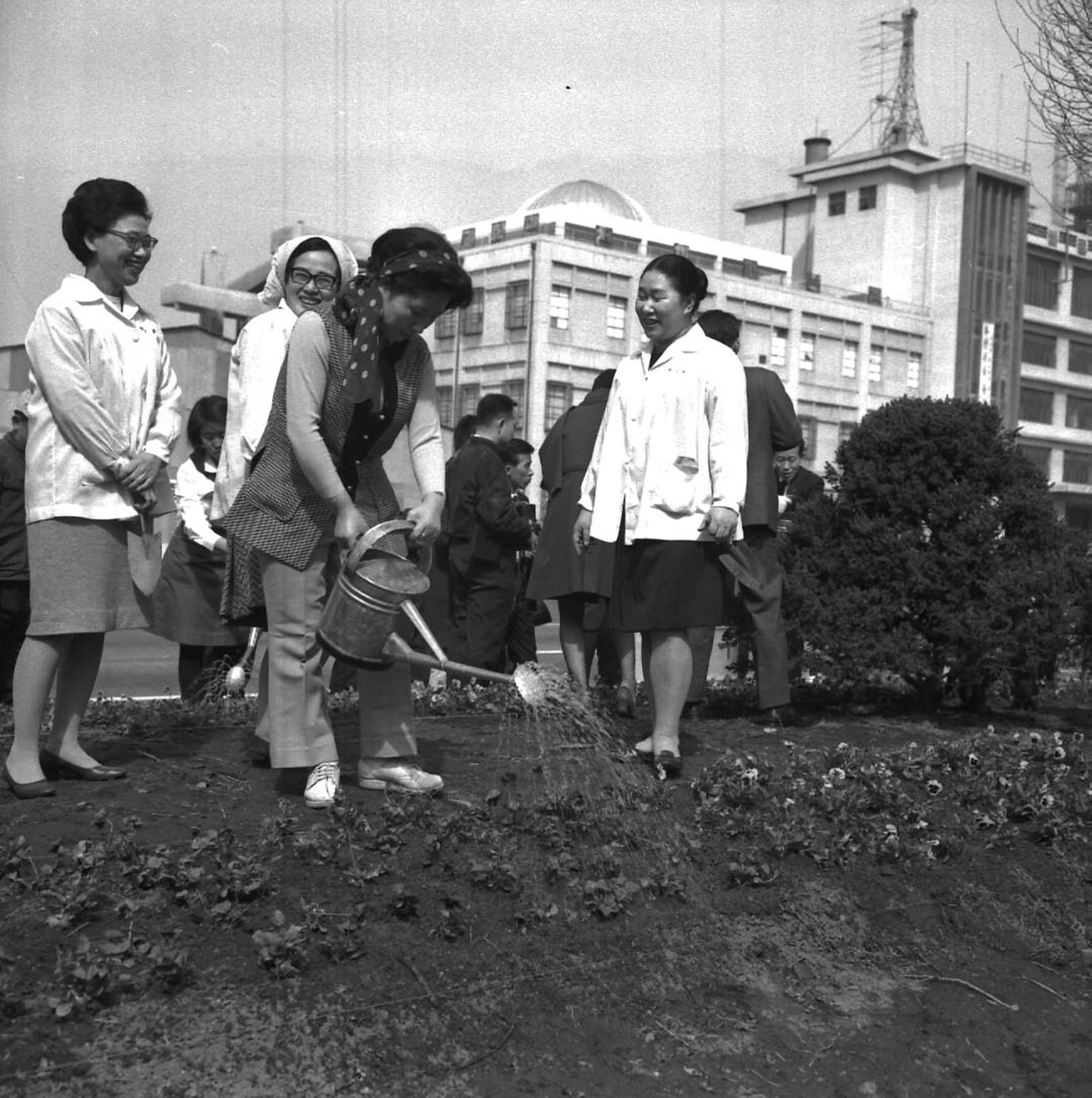 육영수 여사와 양지회, 꽃나무 심기