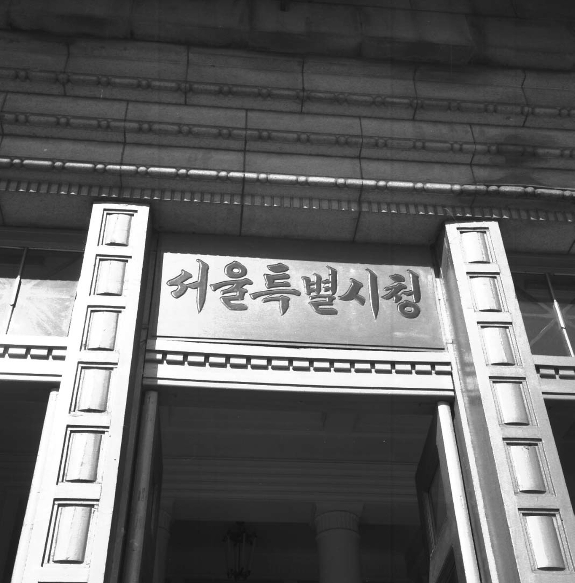 서울시청 앞 국화 화분