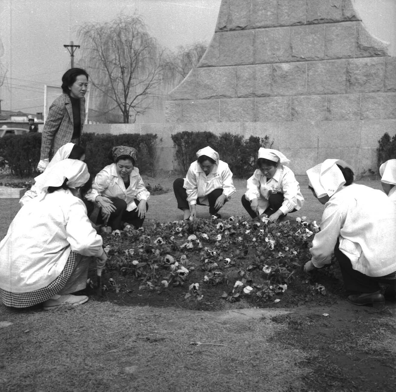 양지회, 한강교 꽃심기