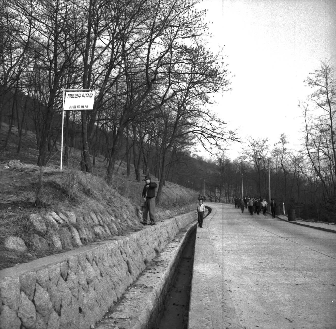 산업국 직원 나무심기