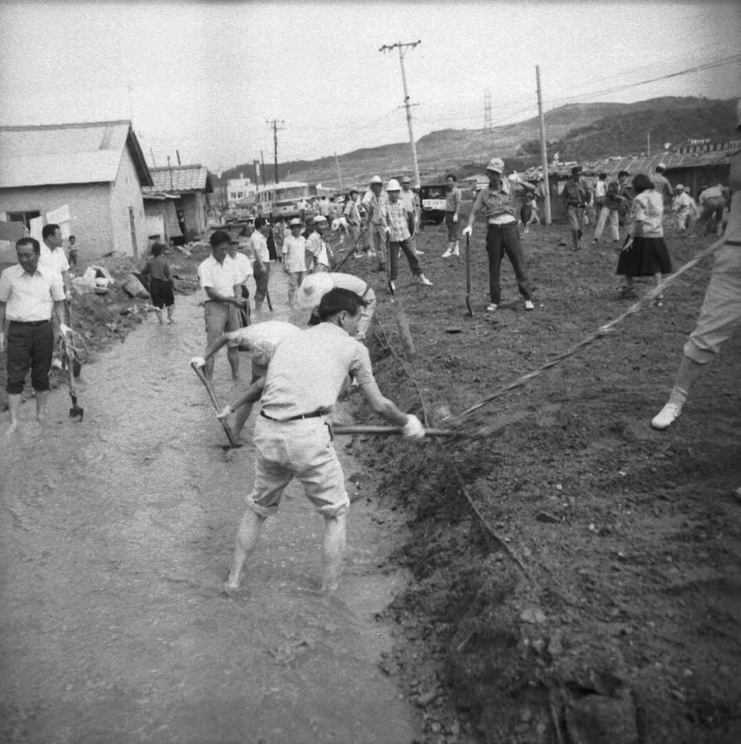 서울시청 직원, 수해복구작업