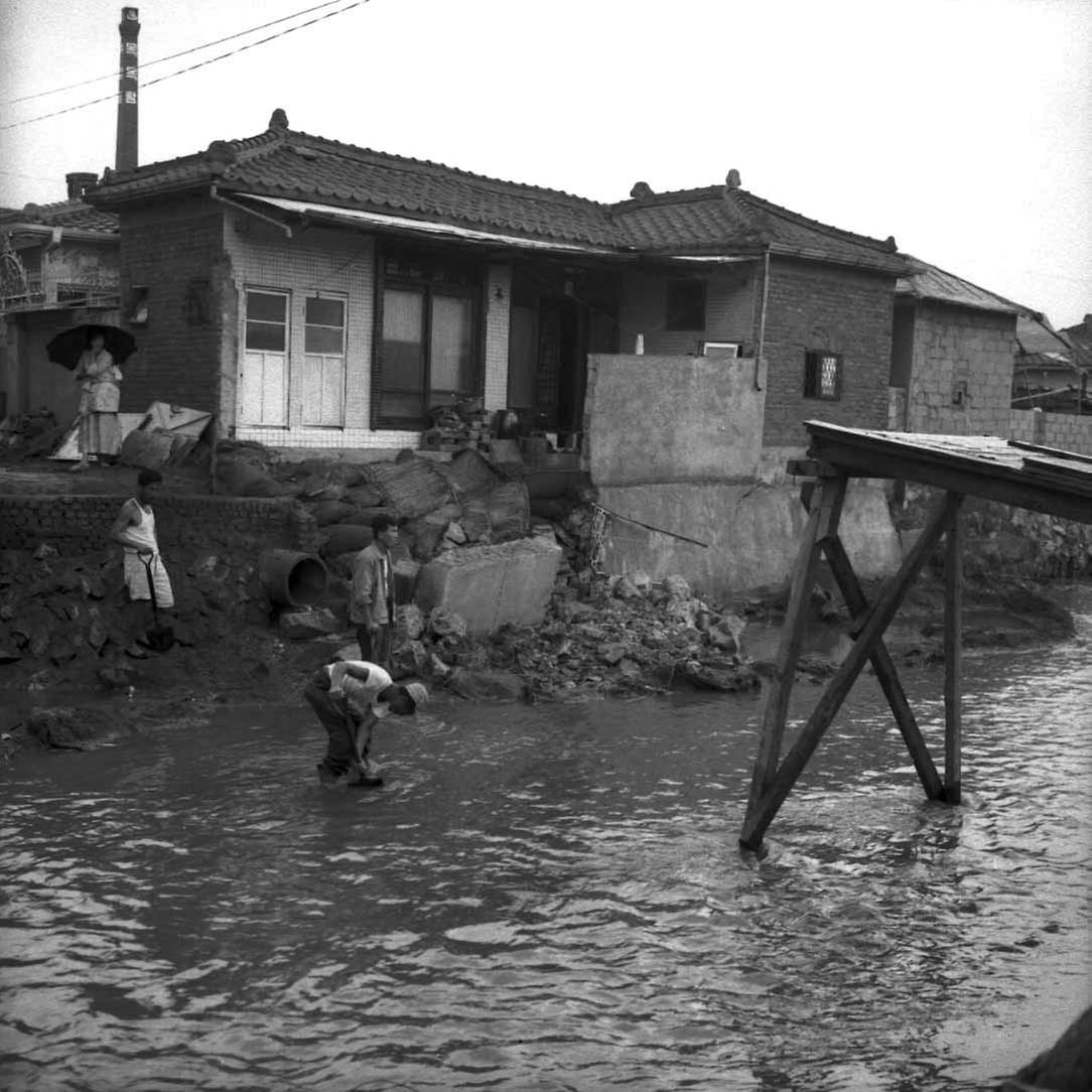 서울시청 직원, 수해복구작업