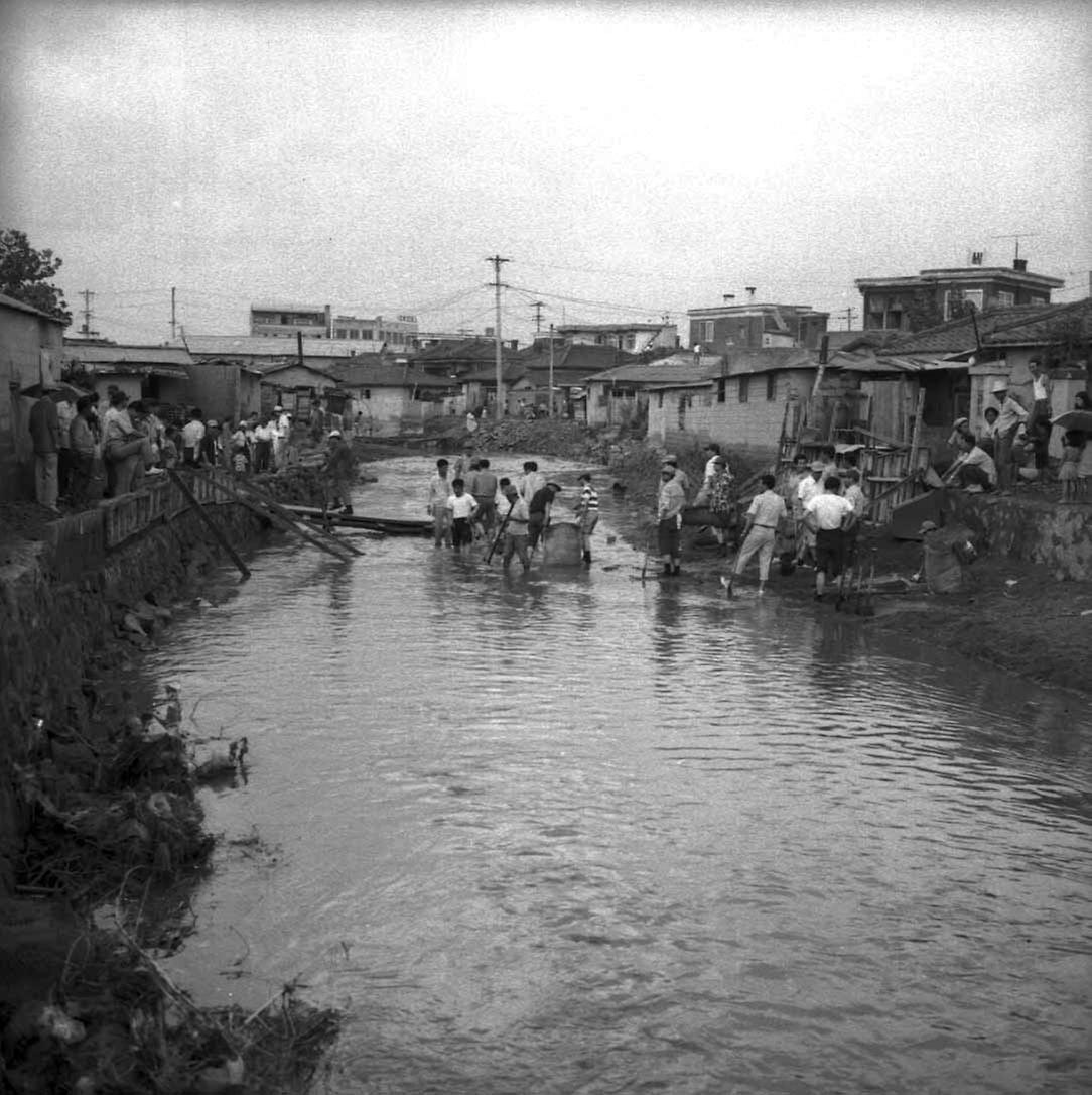 서울시청 직원, 수해복구작업