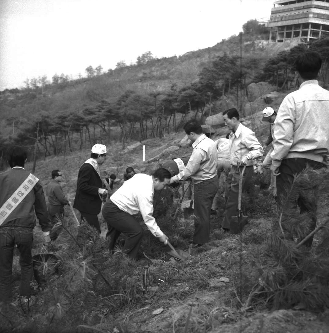 공무원 연예인 나무심기