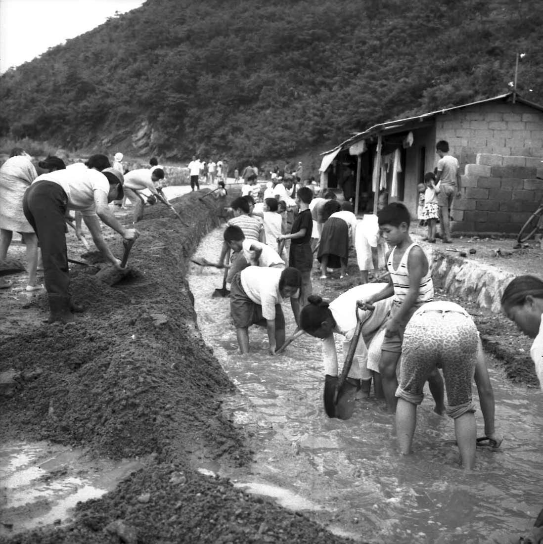 서울시청 직원, 수해복구작업