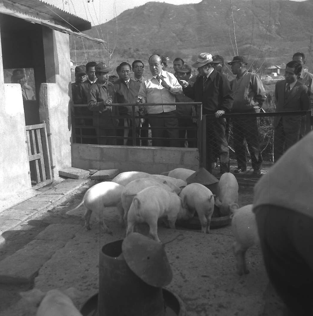 대곡로 주변 축산지구