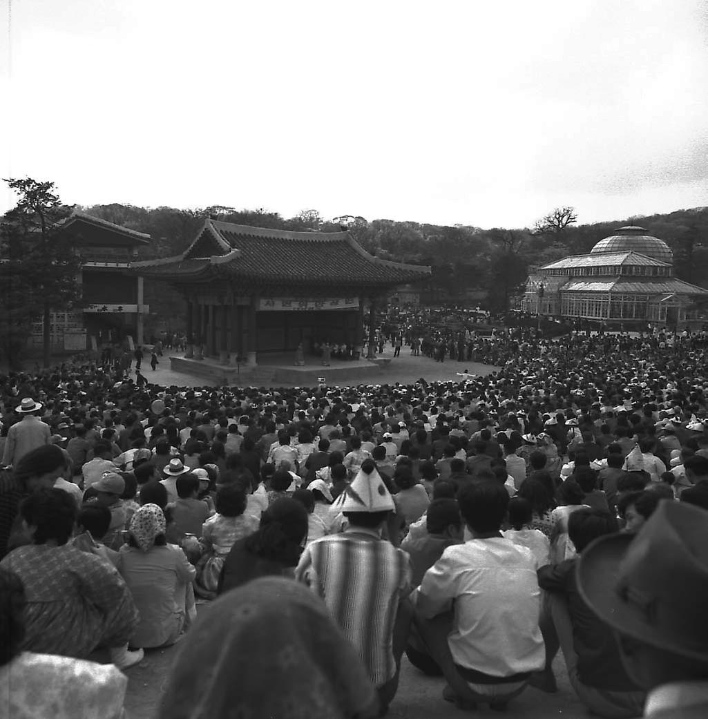 창경원 국악연주