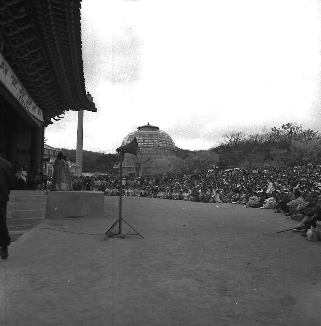 창경원 국악연주