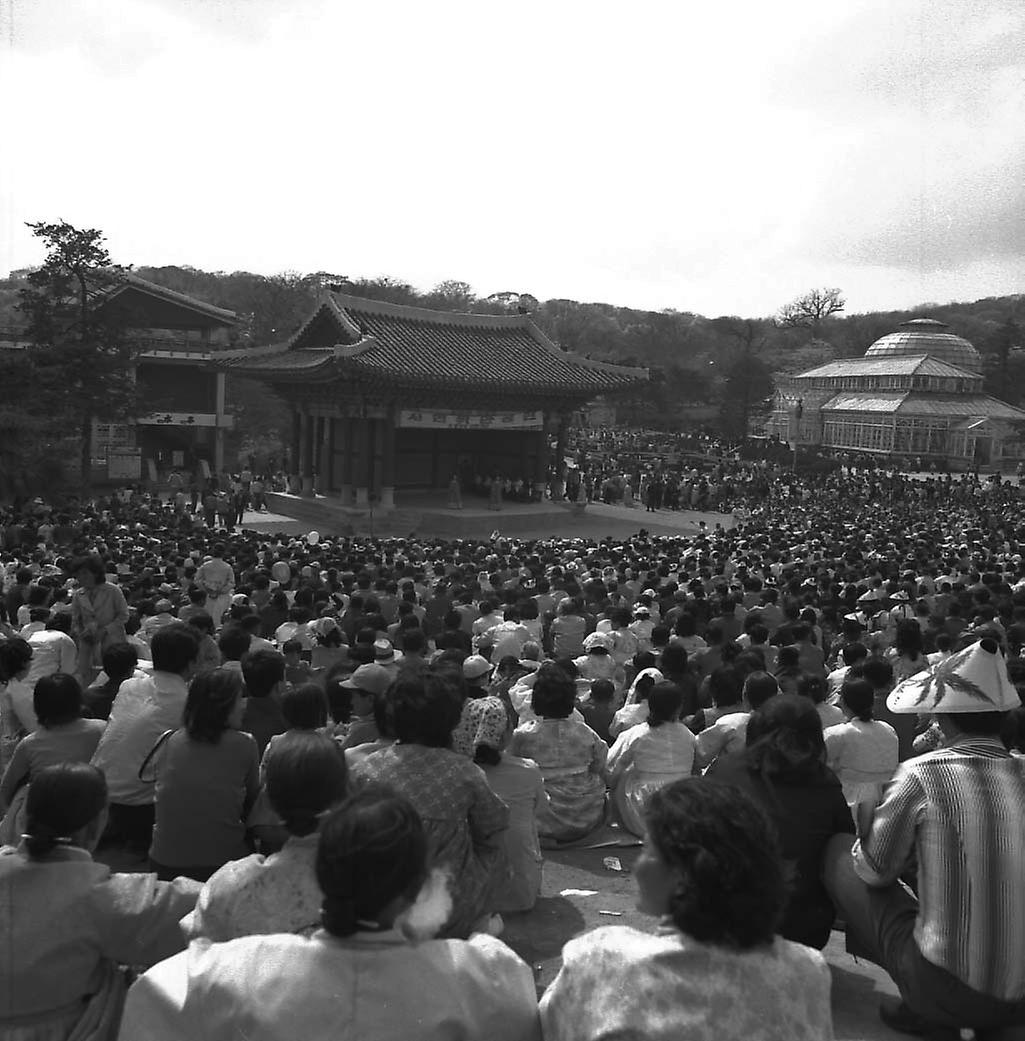 창경원 국악연주