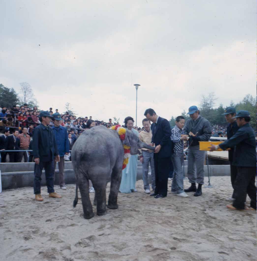 제53회 어린이날 행사 및 코끼리 입주식