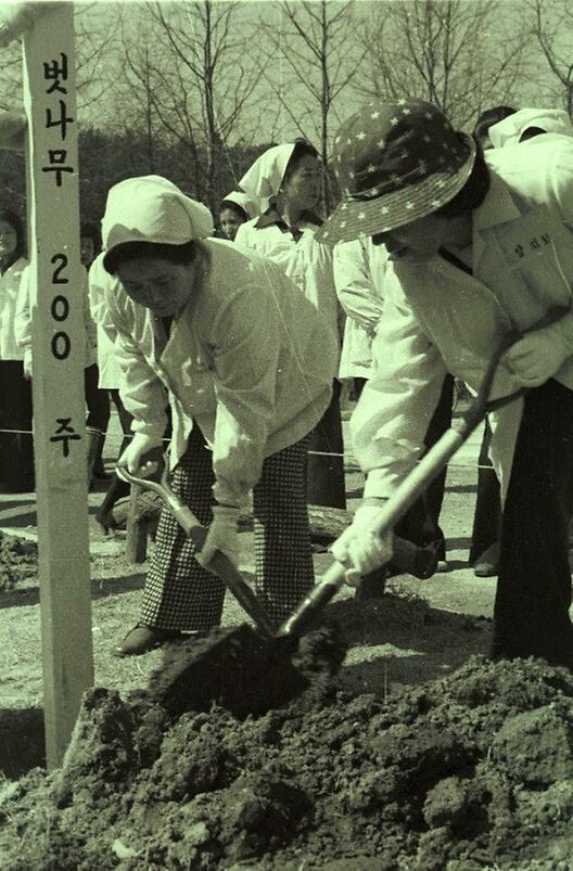 서울시 간부 부인회, 삼청공원 꽃심기