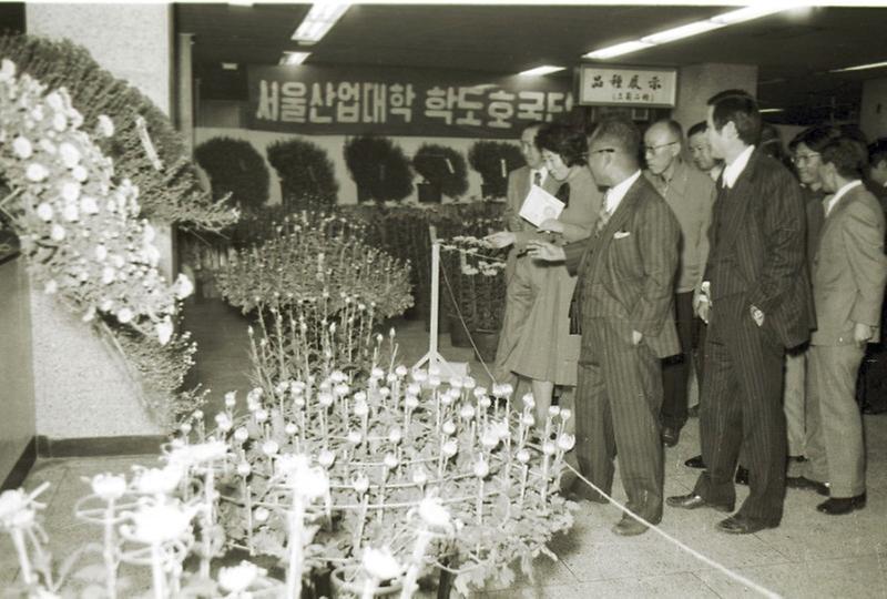 산업대학교 국화 전시회