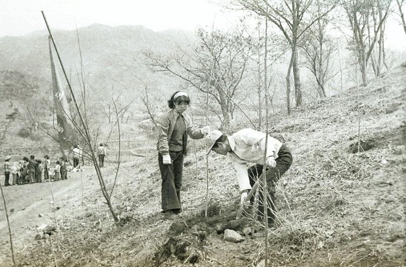 서울시 직원, 식목일 맞이 나무 심기