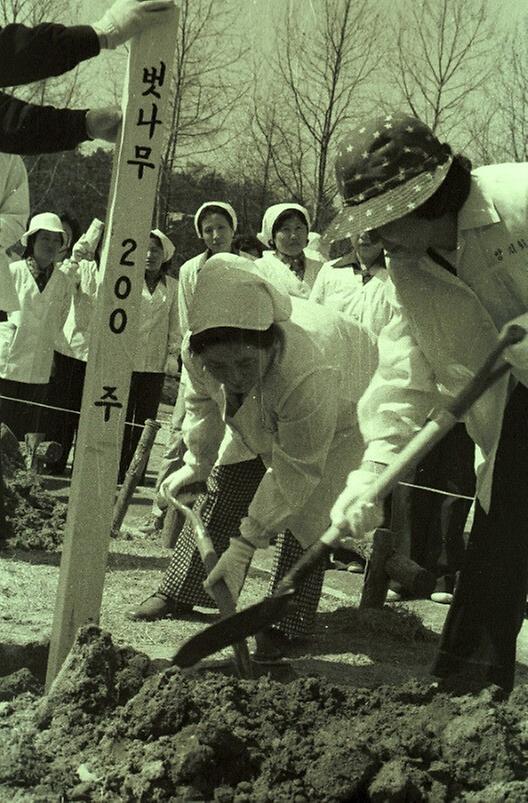 서울시 간부 부인회, 삼청공원 꽃심기