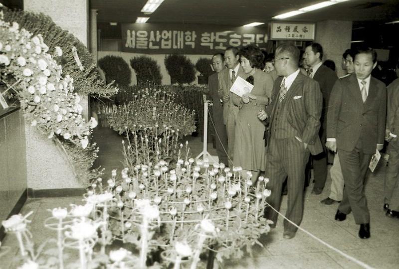 산업대학교 국화 전시회