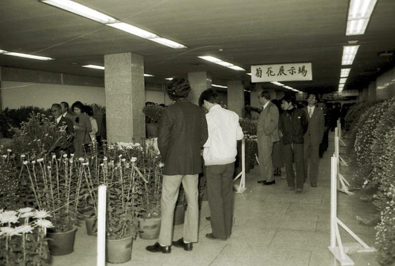 산업대학교 국화 전시회