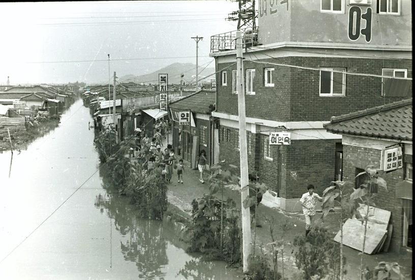 난지도 수해현장