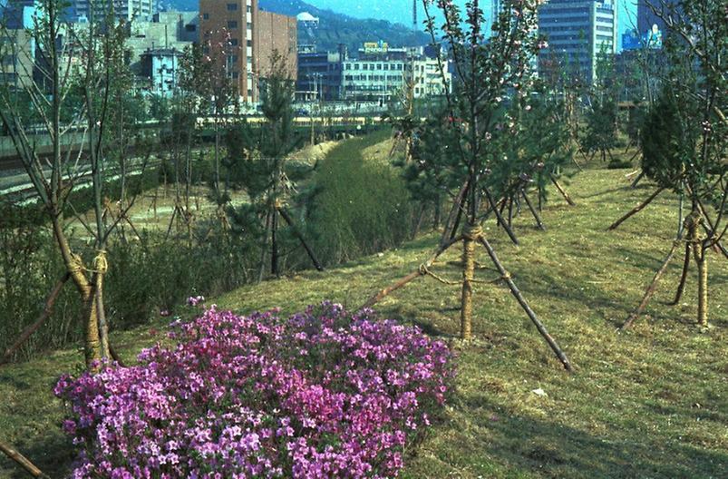 의주로공원 전경