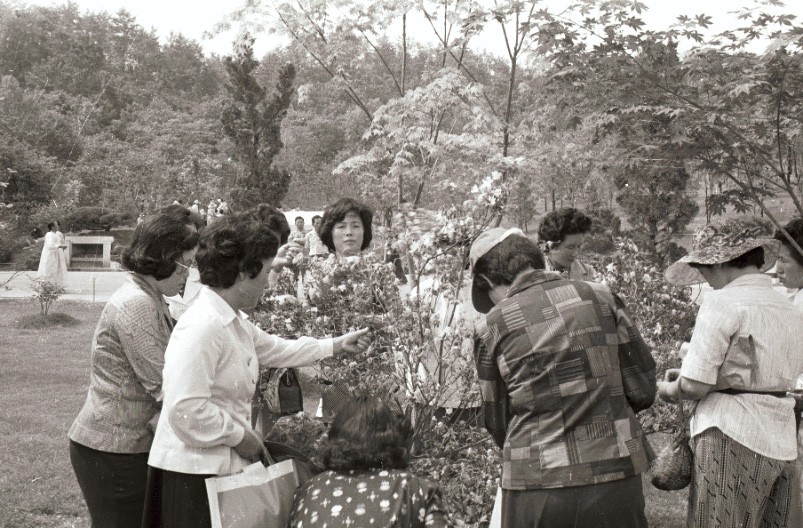 새마을 어머니회, 국립묘지 참배 및 잡초제거