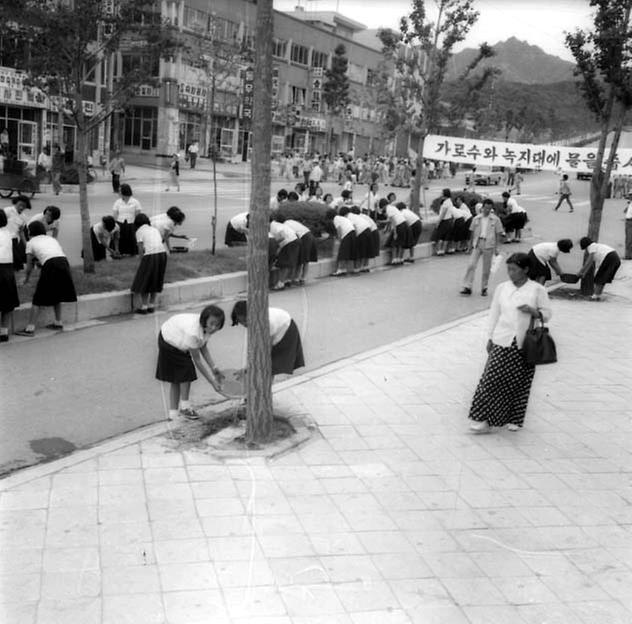 관악구 가로수 물주기