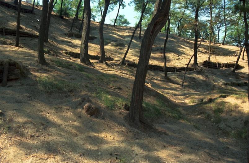 남산 초지 조성