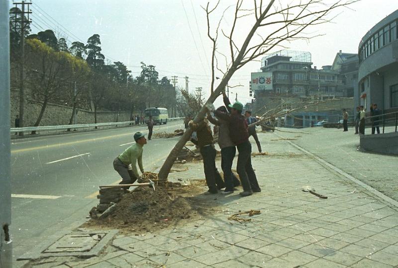 제31회 식목일 행사