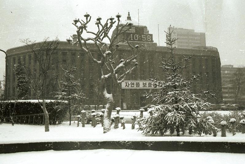 서울시청 앞 도로 설경