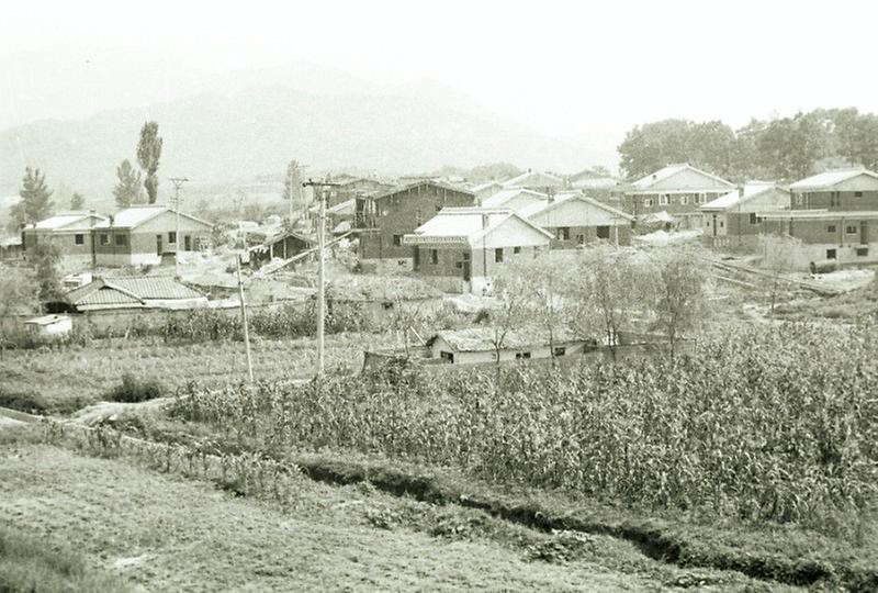 취락 구조 개선 사업 시범마을 기공식