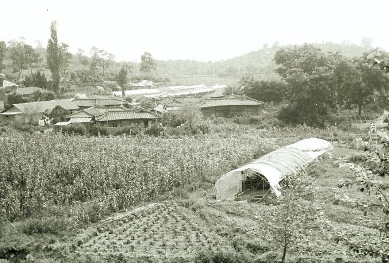 취락 구조 개선 사업 시범마을 기공식