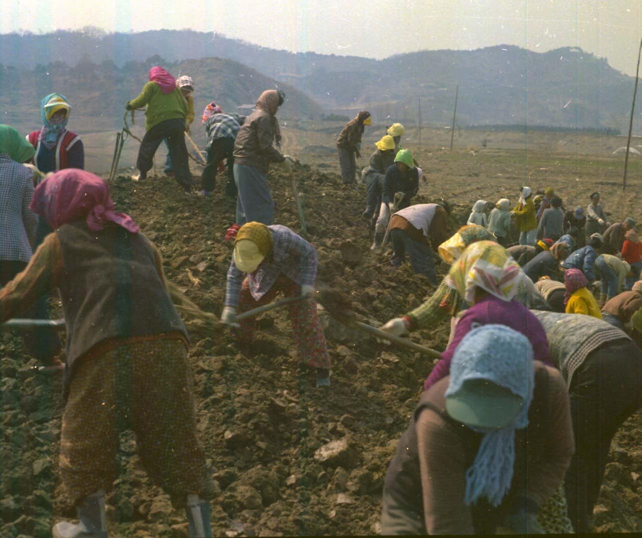 제방 공사 현장