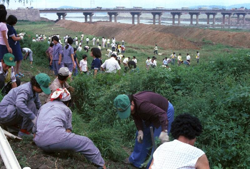 자연 보호 활동