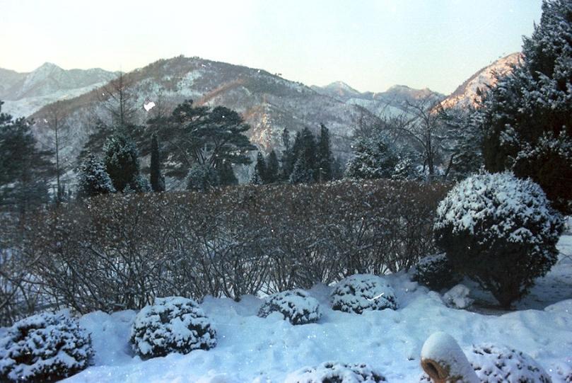 김성배 서울 제1부시장, 광부 위문