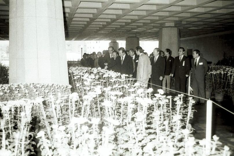 서울 산업대학 국화 전시회