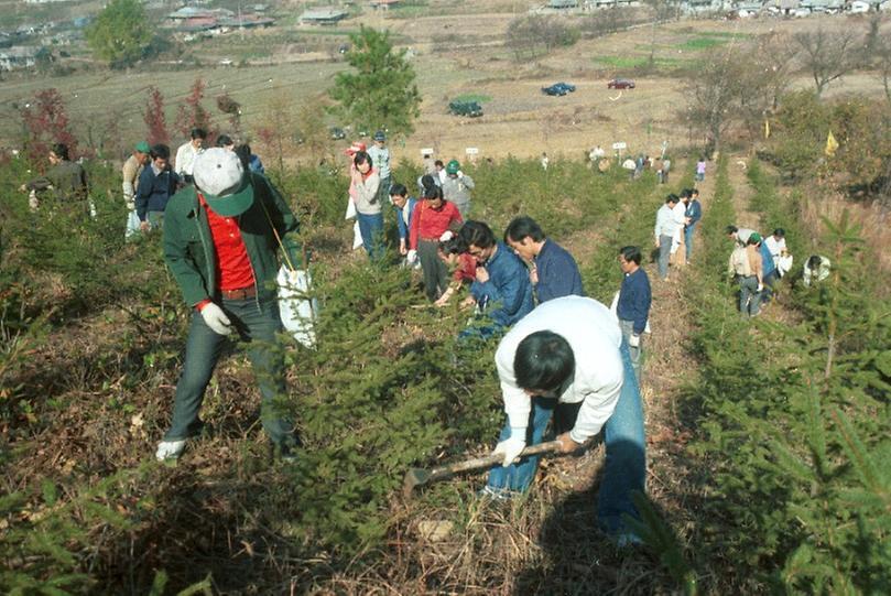 육림의 날 행사