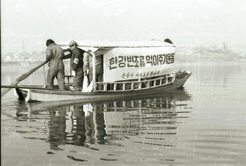 한강변 조류 먹이주기 운동