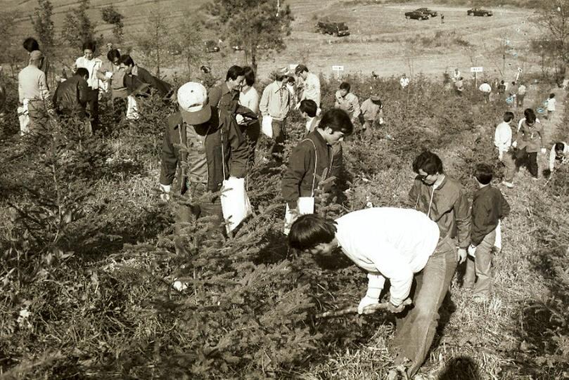 육림의 날 행사