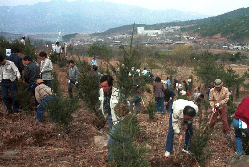 제35회 식목일 행사