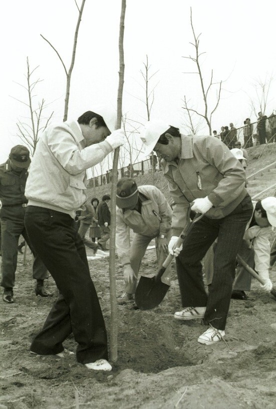 정상천 서울시장, 한강변 개나리 식수