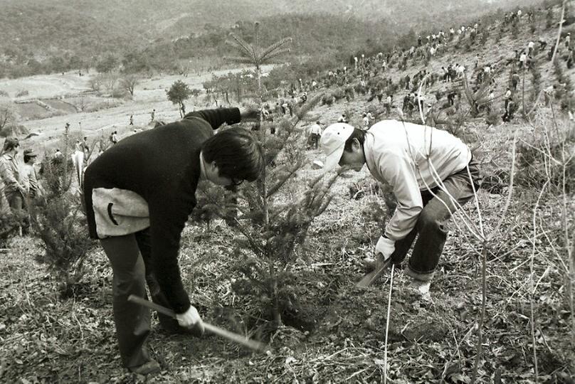 제35회 식목일 행사