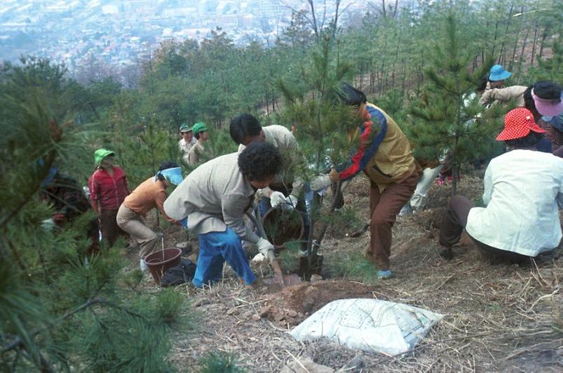 제36회 식목일 행사