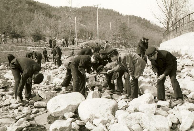 1981년 관악산 자연보호 운동