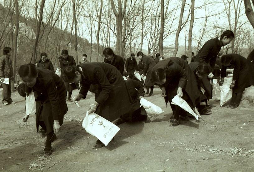 1981년 관악산 자연보호 운동