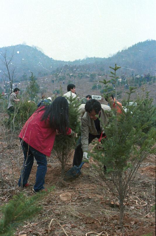 제36회 식목일 행사