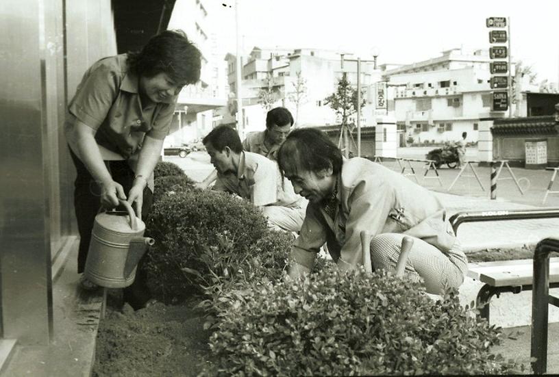 1982년 식재 수목 시민 물주기 운동