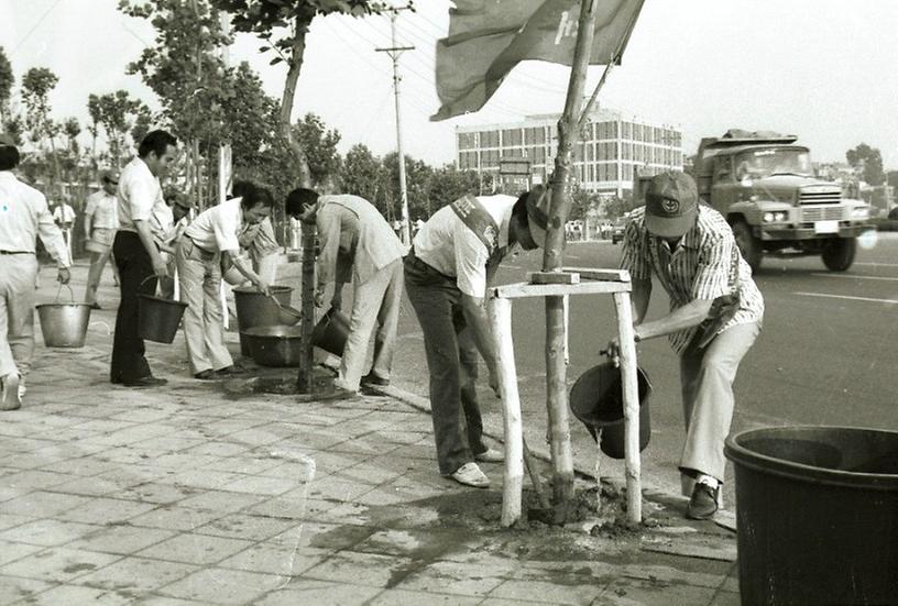 1982년 식재 수목 시민 물주기 운동