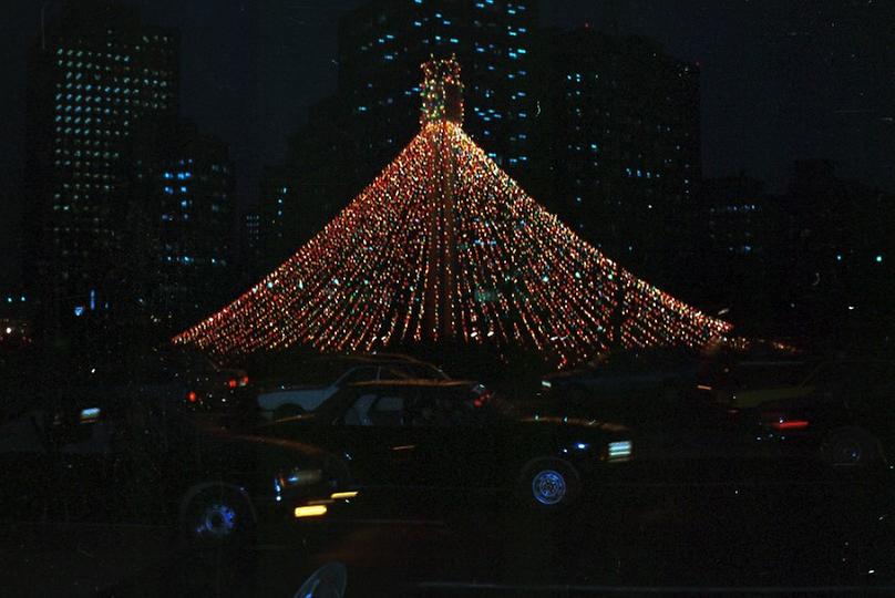 서울시청 앞 대형 크리스마스 트리 점등